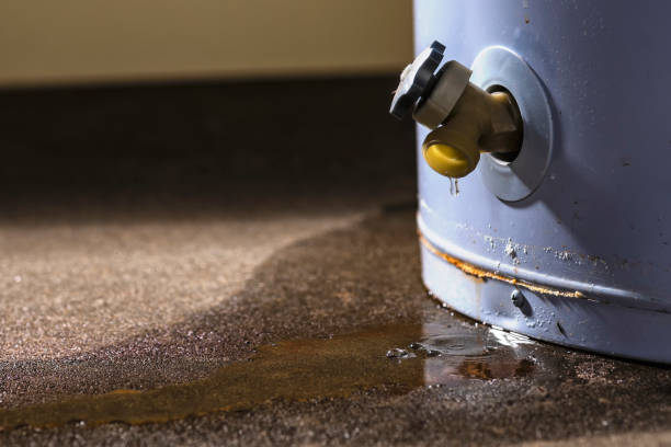 Reliable MO Water damage restoration Solutions