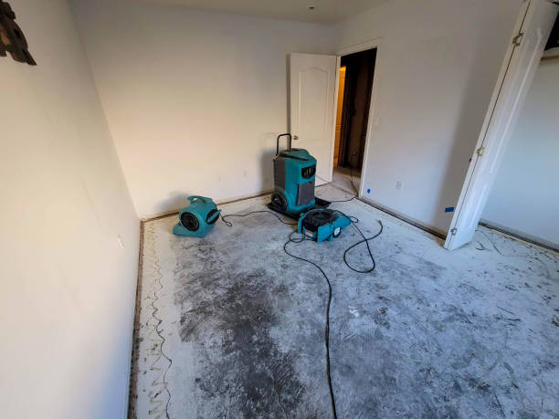 Best Carpet water damage restoration  in Oran, MO