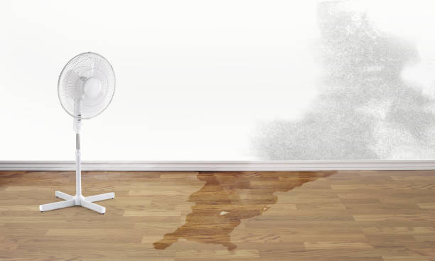 Best Sewage cleanup and water damage restoration  in Oran, MO