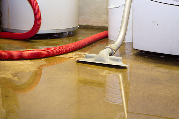 Water damage restoration experts