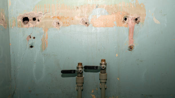 Best Flood damage cleanup  in Oran, MO