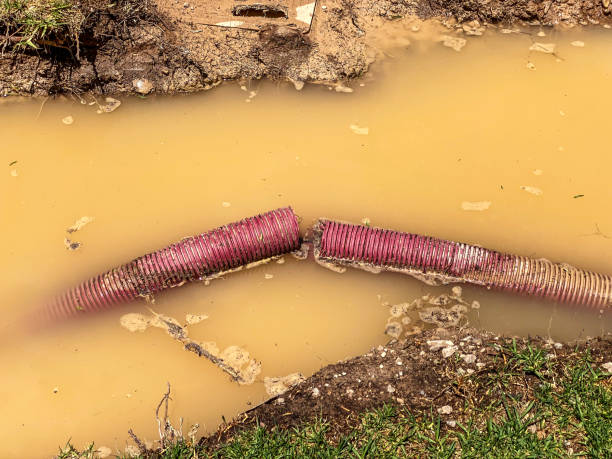 Carpet water damage restoration in MO