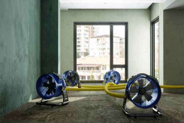 Best Professional water damage repair  in Oran, MO
